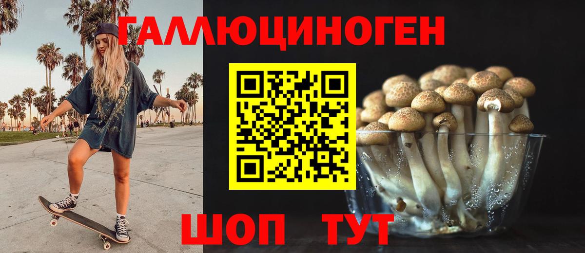 Псилоцибиновые грибы GOLDEN TEACHER Тула